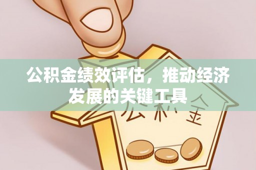 明山公积金绩效评估，推动经济发展的关键工具