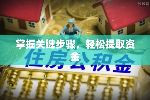 明山掌握关键步骤，轻松提取资金