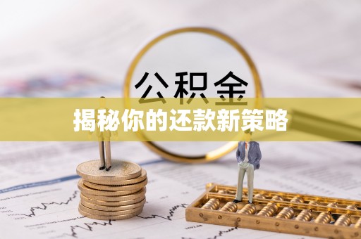 明山揭秘你的还款新策略