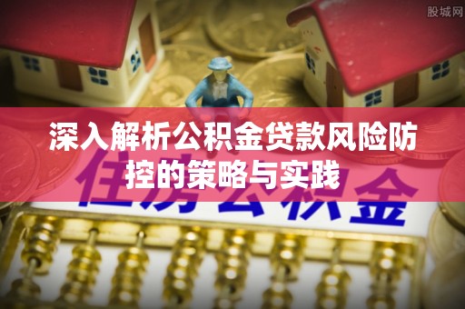 明山深入解析公积金贷款风险防控的策略与实践