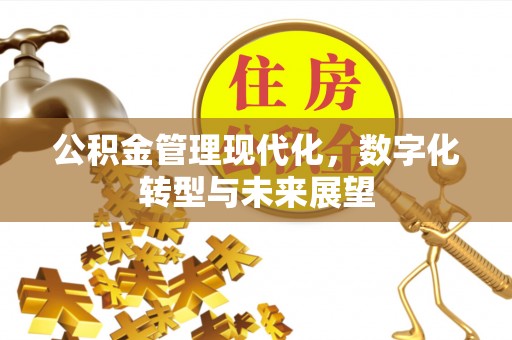 明山公积金管理现代化，数字化转型与未来展望