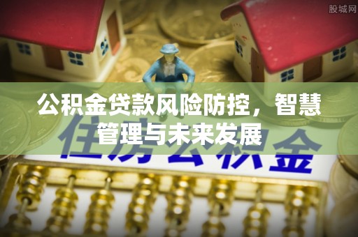 明山公积金贷款风险防控，智慧管理与未来发展