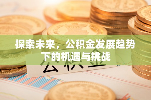 明山探索未来，公积金发展趋势下的机遇与挑战