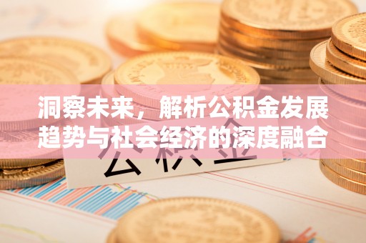 明山洞察未来，解析公积金发展趋势与社会经济的深度融合