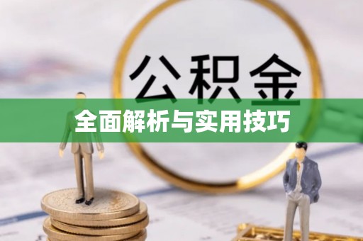 明山全面解析与实用技巧