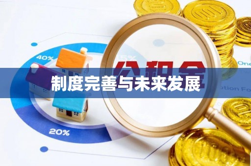 明山制度完善与未来发展