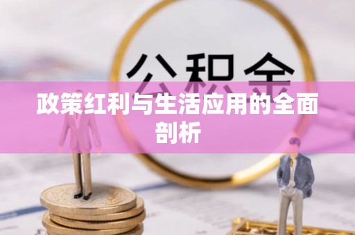 明山政策红利与生活应用的全面剖析