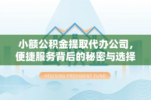 明山小额公积金提取代办公司，便捷服务背后的秘密与选择指南