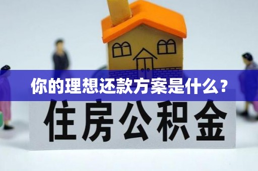 明山你的理想还款方案是什么？