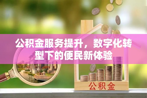 明山公积金服务提升，数字化转型下的便民新体验