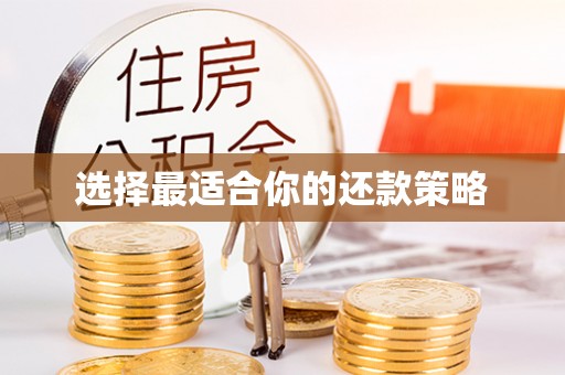 明山选择最适合你的还款策略