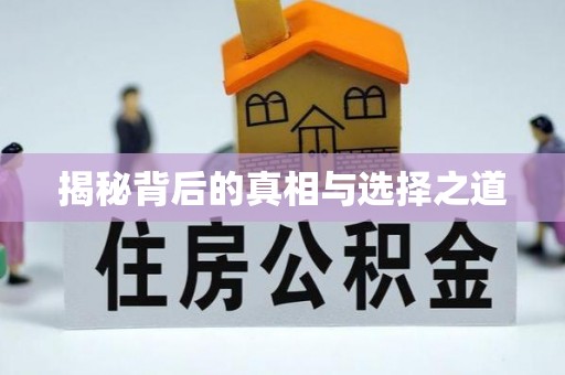 明山揭秘背后的真相与选择之道