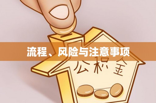 明山流程、风险与注意事项